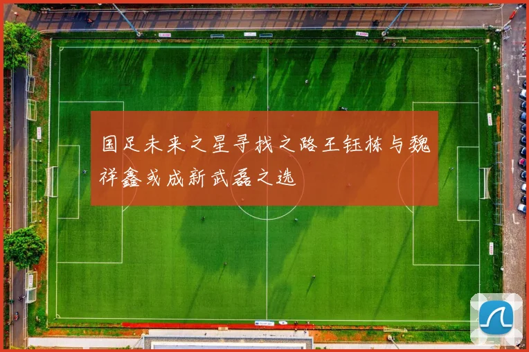国足未来之星寻找之路王钰栋与魏祥鑫或成新武磊之选