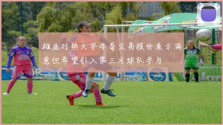 雄鹿对热火字母哥交易报价表示满意但希望引入第三方球队参与